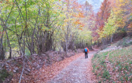RUTA OTOÑO